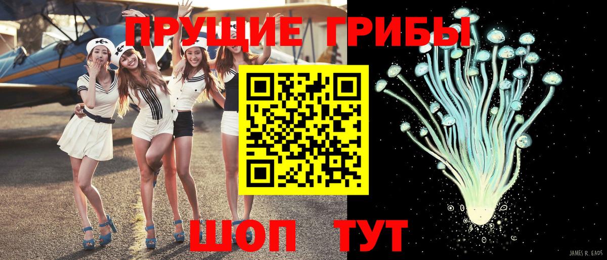 Кинешма  Псилоцибиновые грибы GOLDEN TEACHER  Псилоцибиновые грибы Cubensis  Вход с VPN 